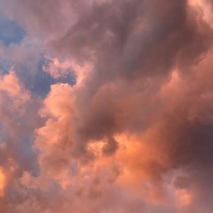 Meet your Posher, Sophia